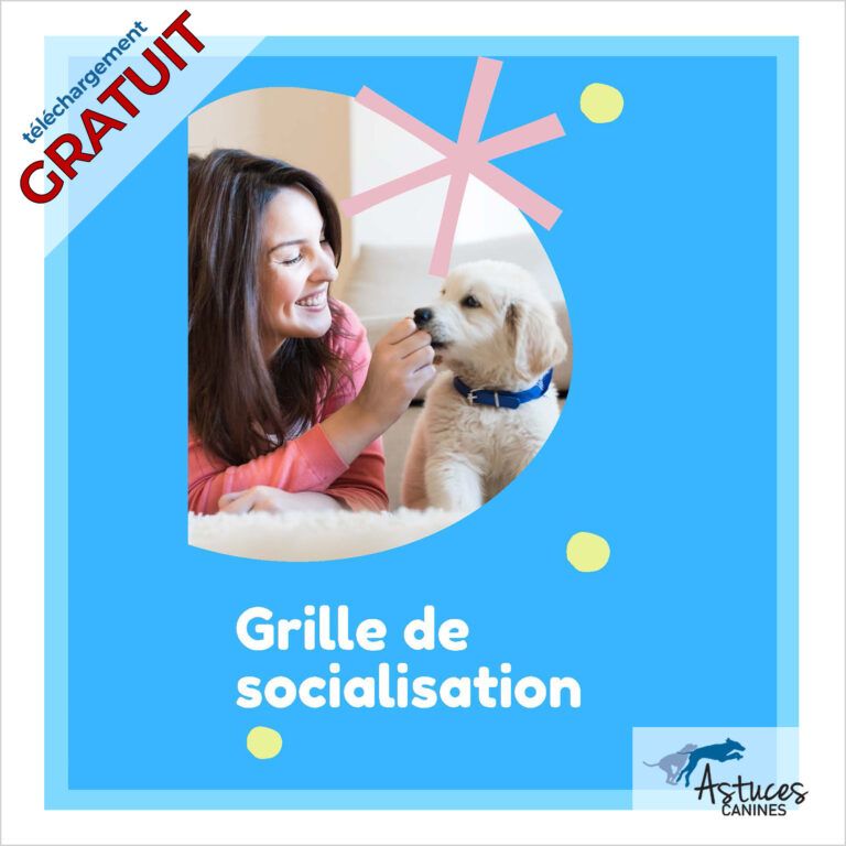 grille-de-socialisation-pour-les-chiots-astuces-canine-boutique